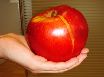 Der Riesen-Apfel